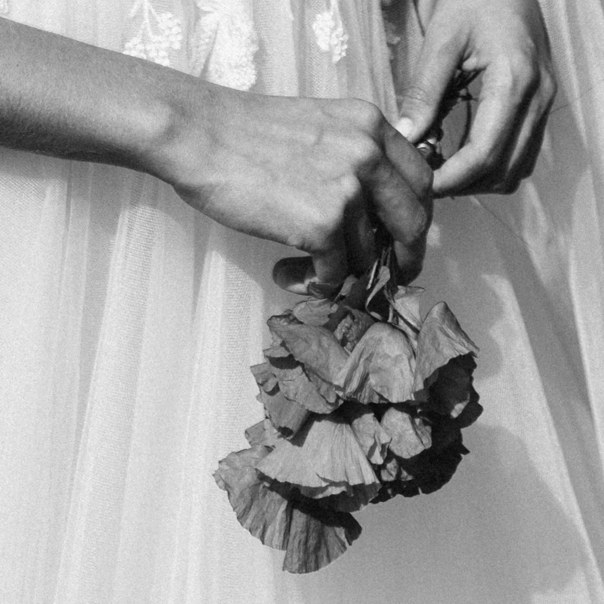 Wedding photographer Barcelona, details