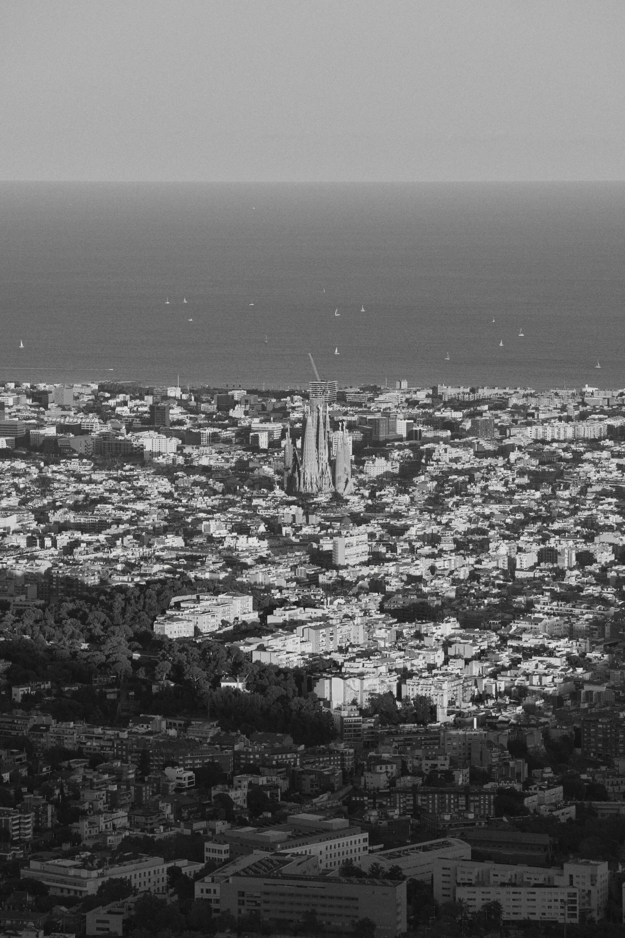 Fotografie de cuplu Barcelona