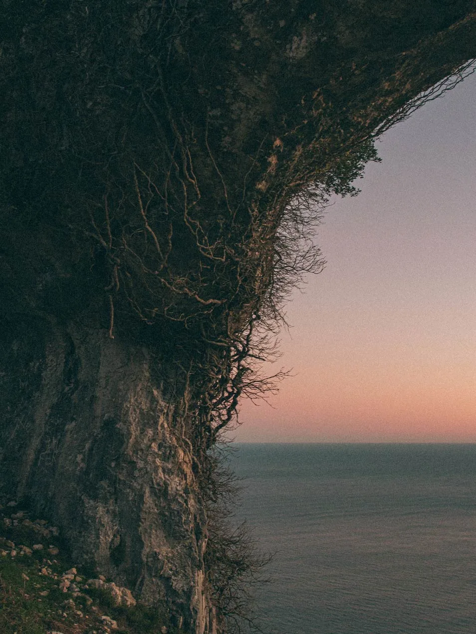 Fotógrafo de bodas Asturias en la naturaleza