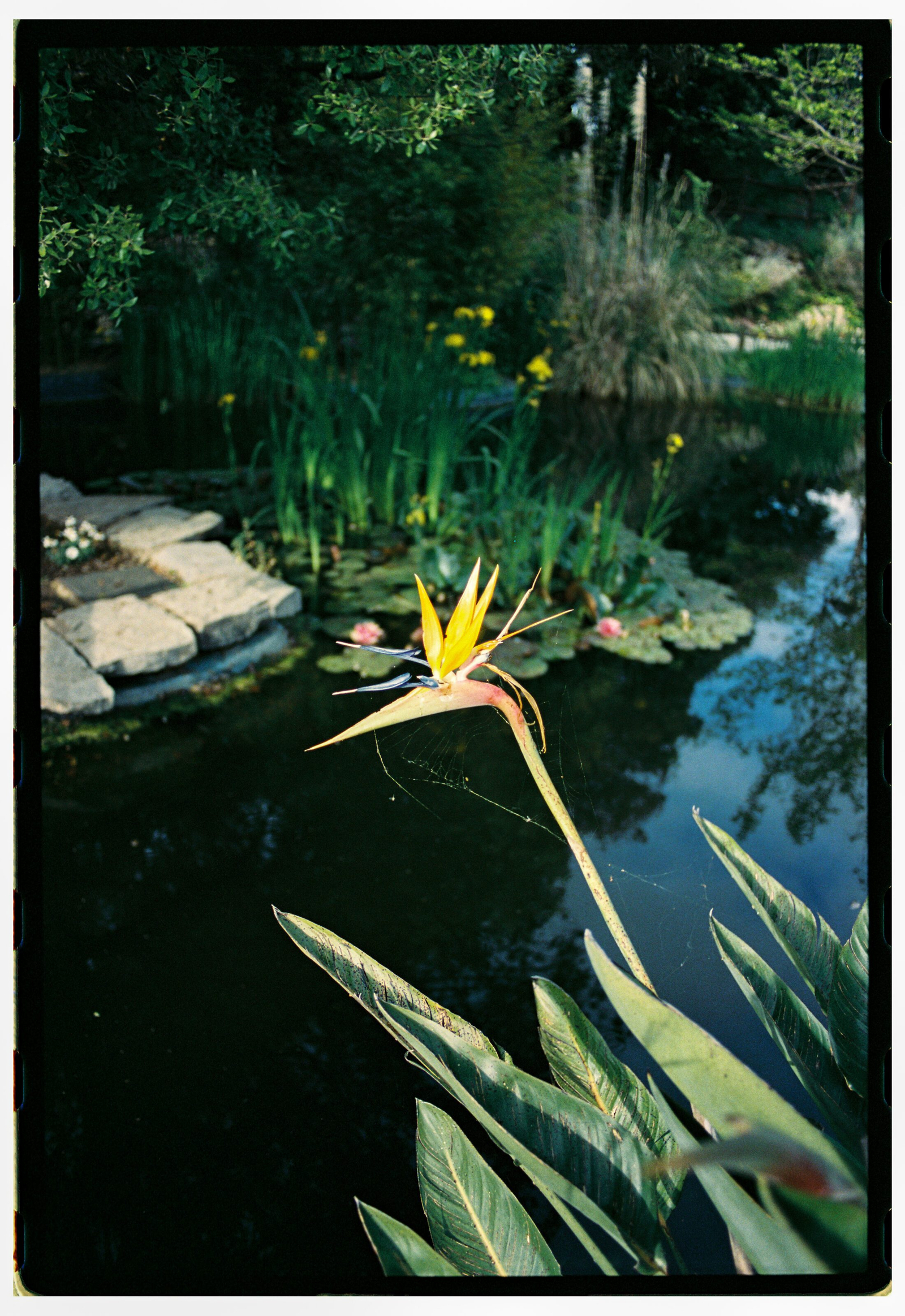 Film photography