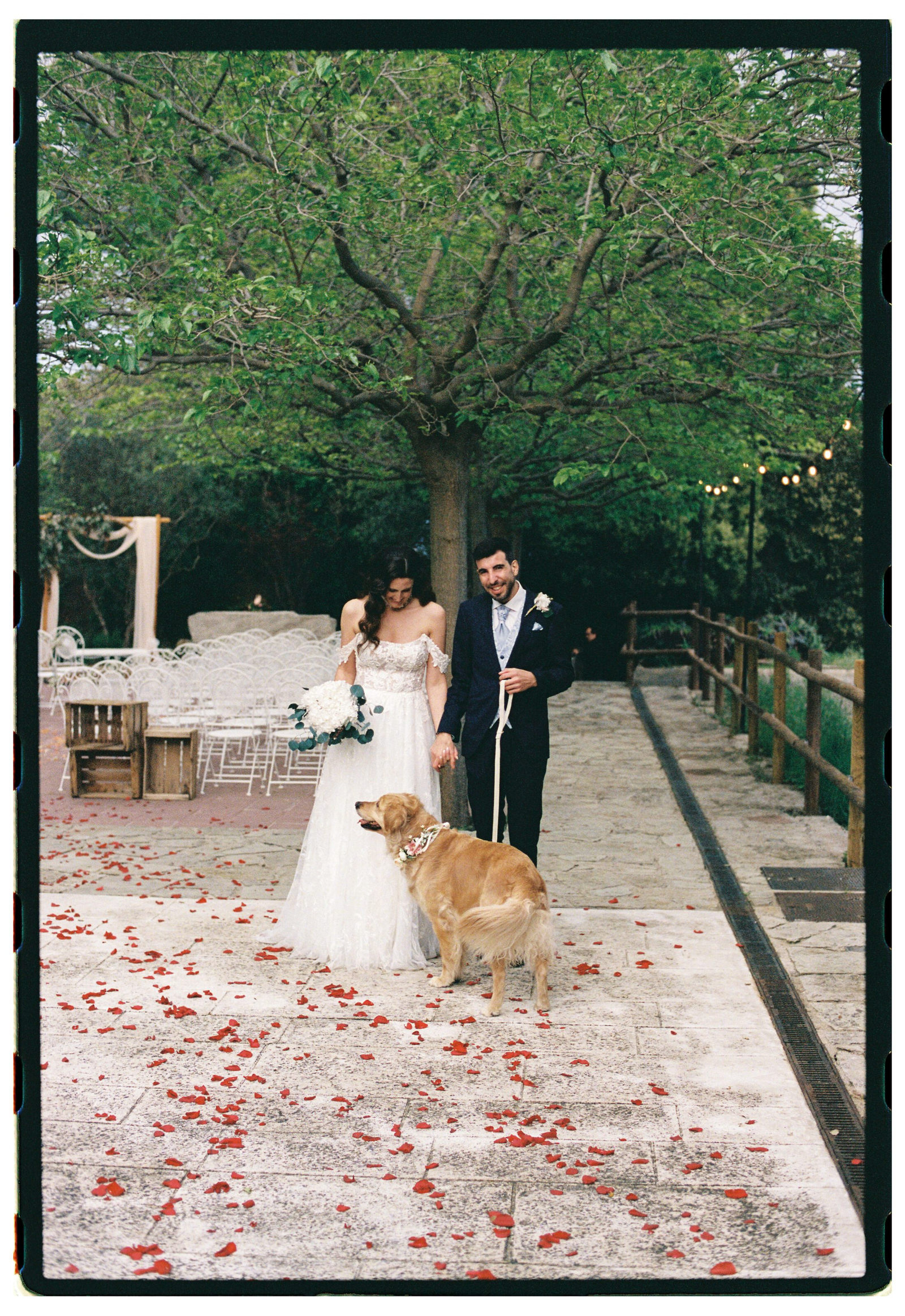 Wedding photographer Barcelona Bridal avenue