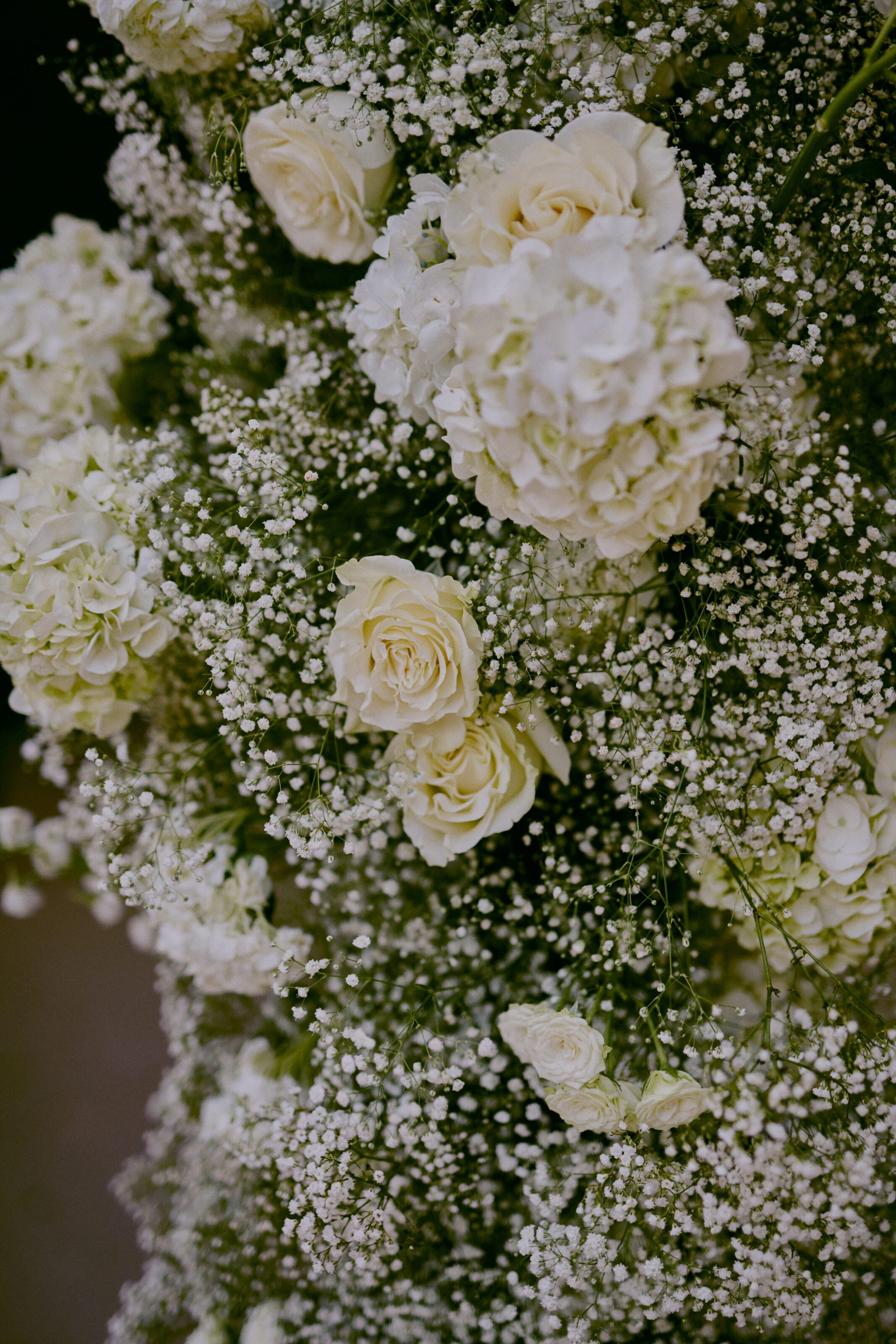 Wedding photographer Barcelona Bridal avenue