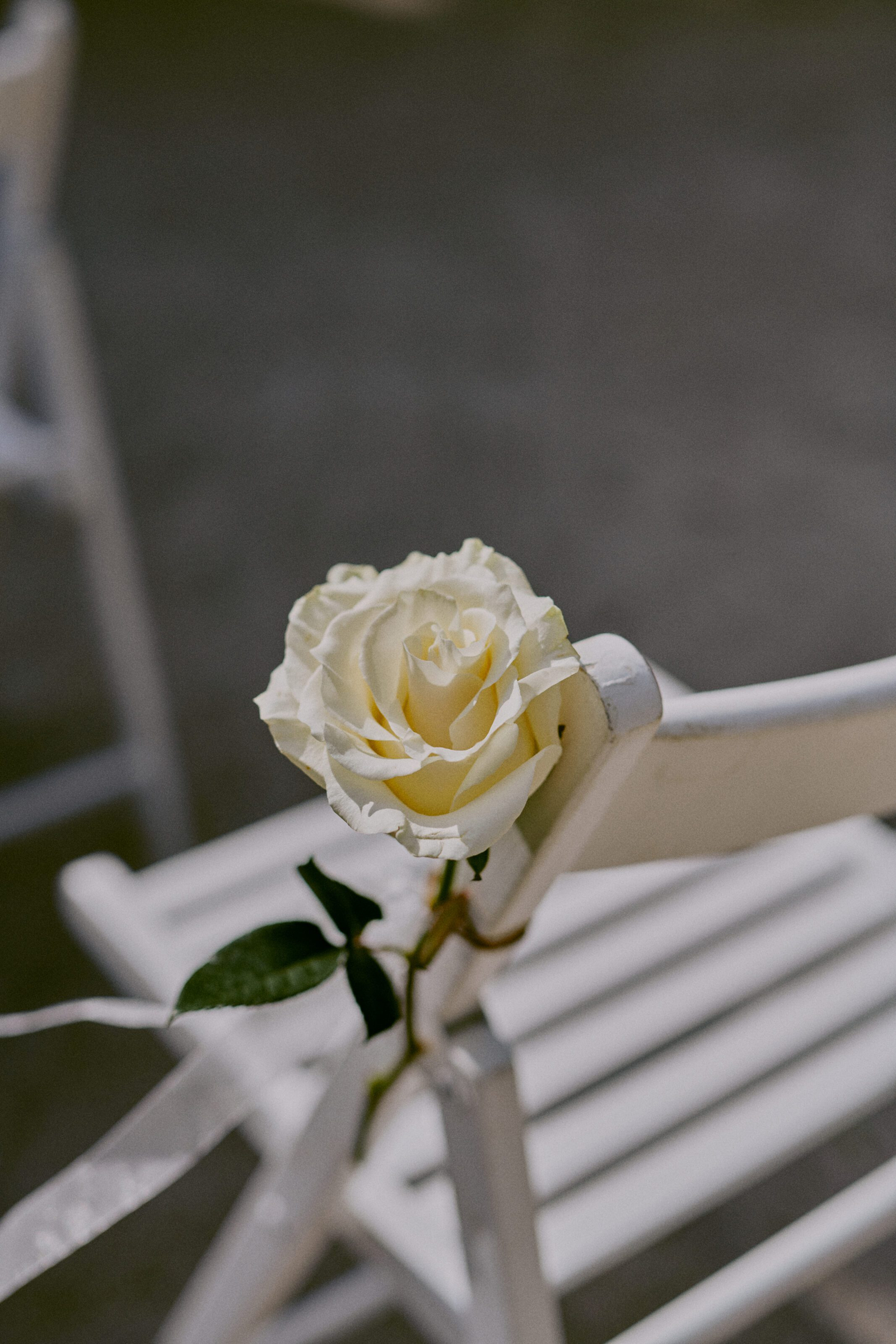 Wedding photographer Barcelona