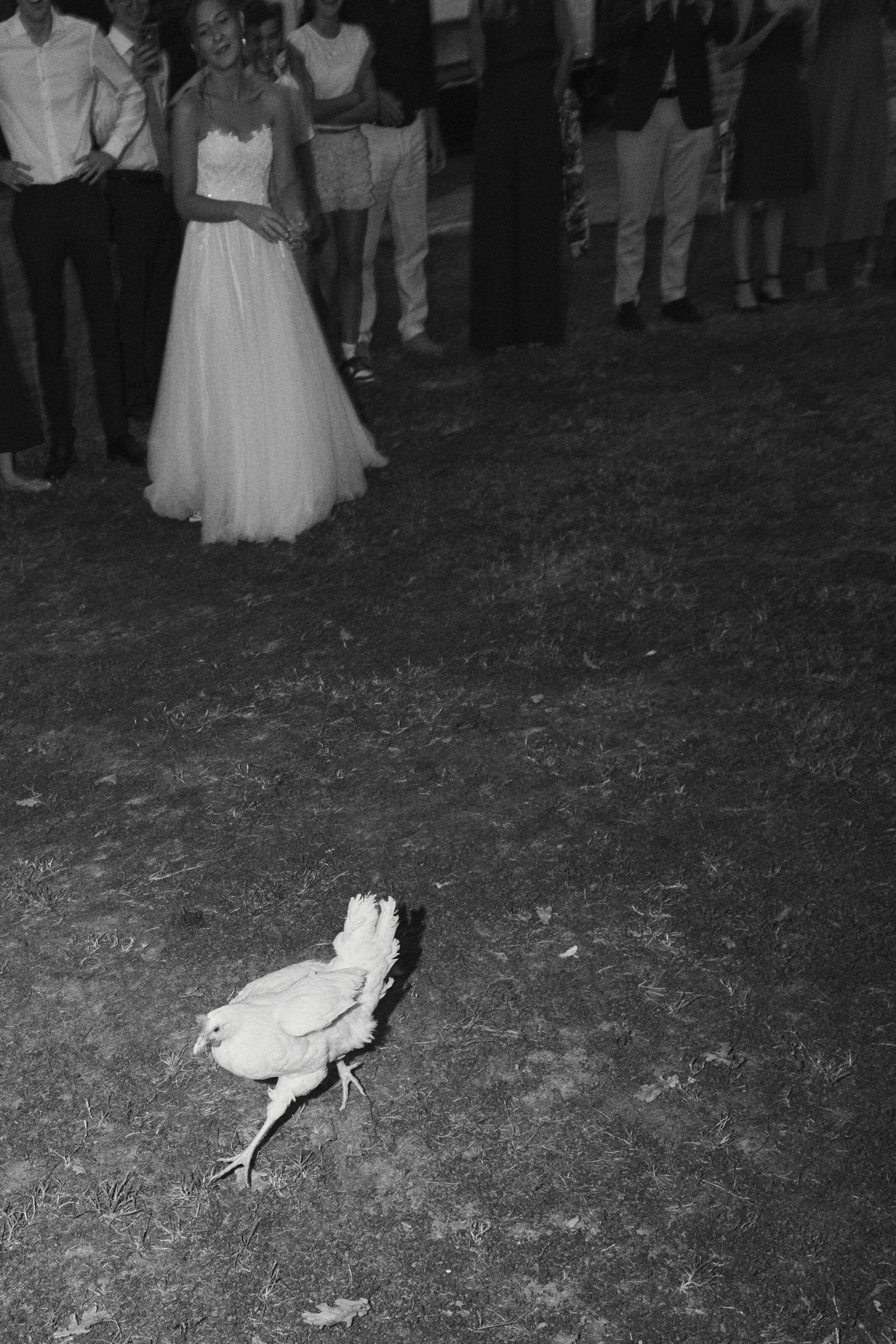 Wedding photographer Barcelona