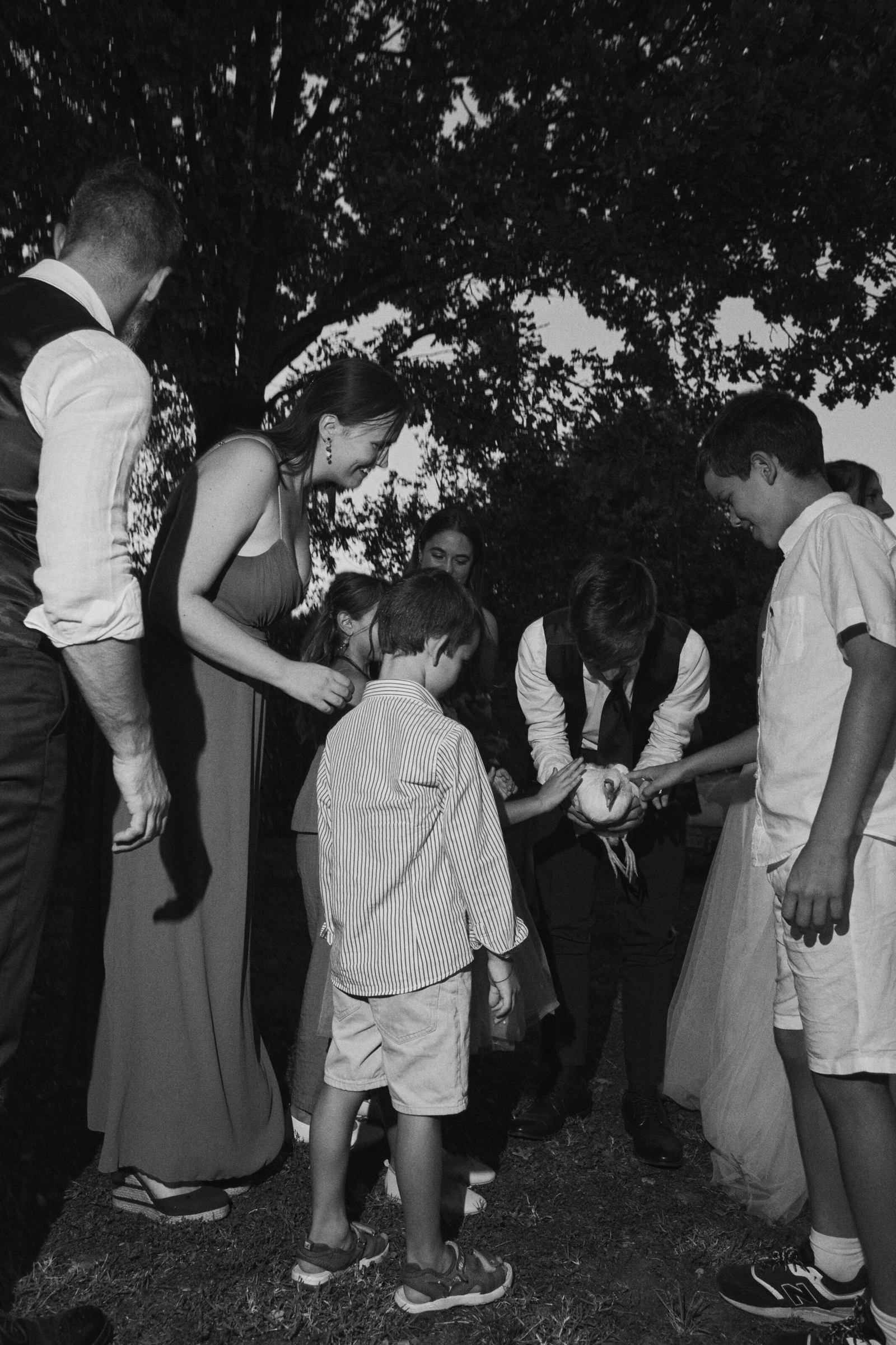 Wedding photographer Barcelona