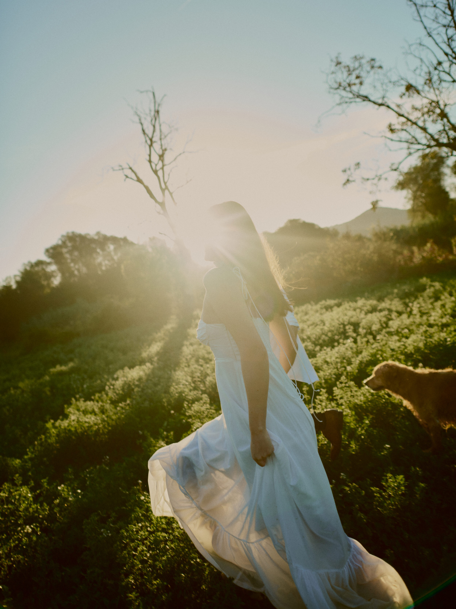 Barcelona Wedding Photoshoot