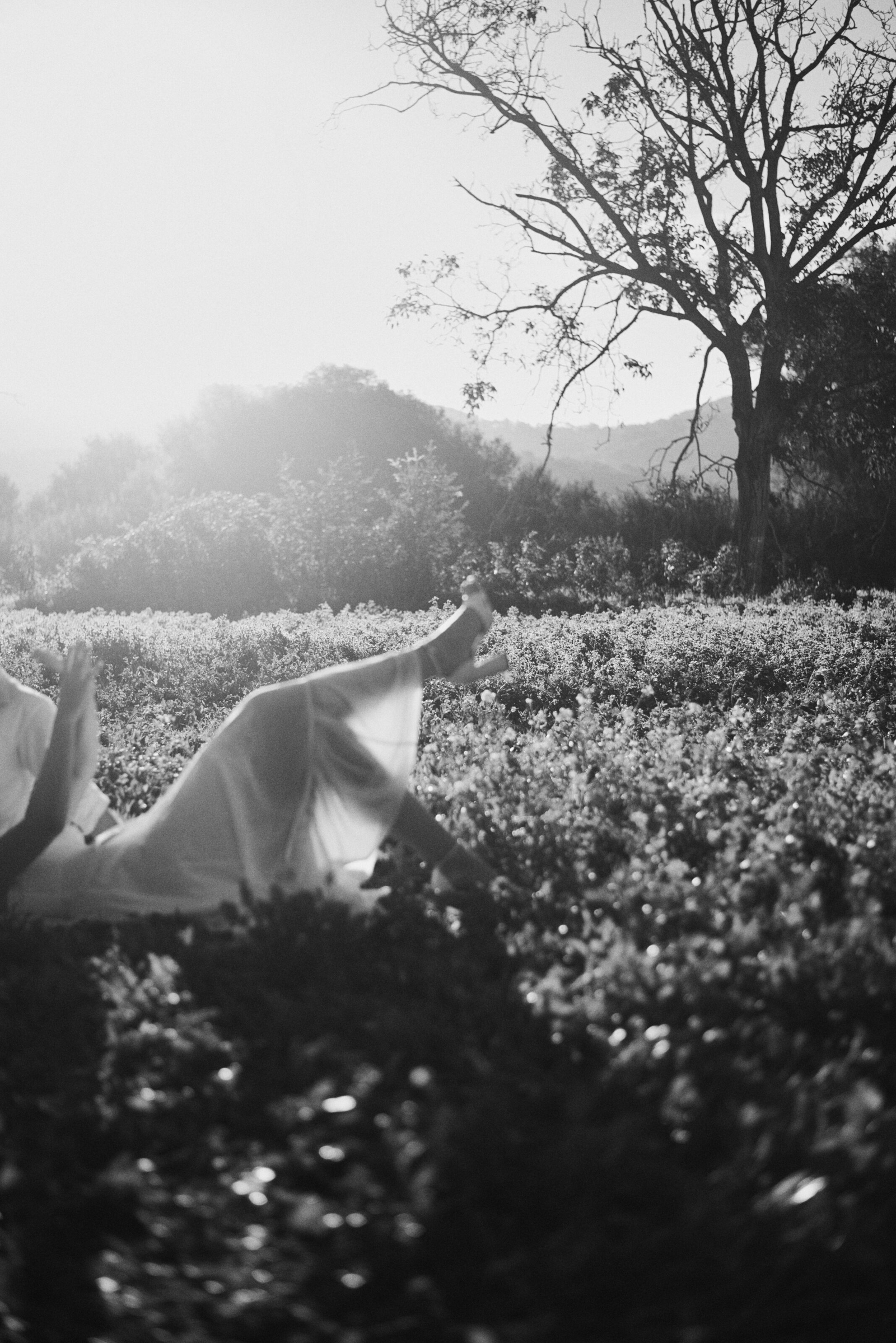 Barcelona Wedding Photoshoot