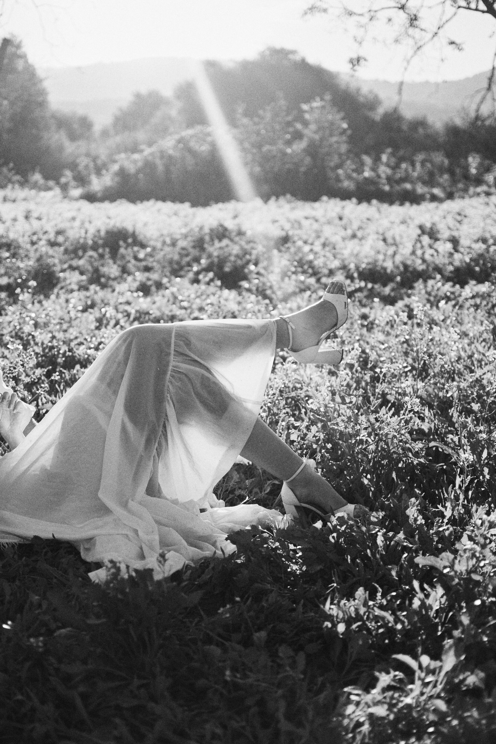 Barcelona Wedding Photoshoot