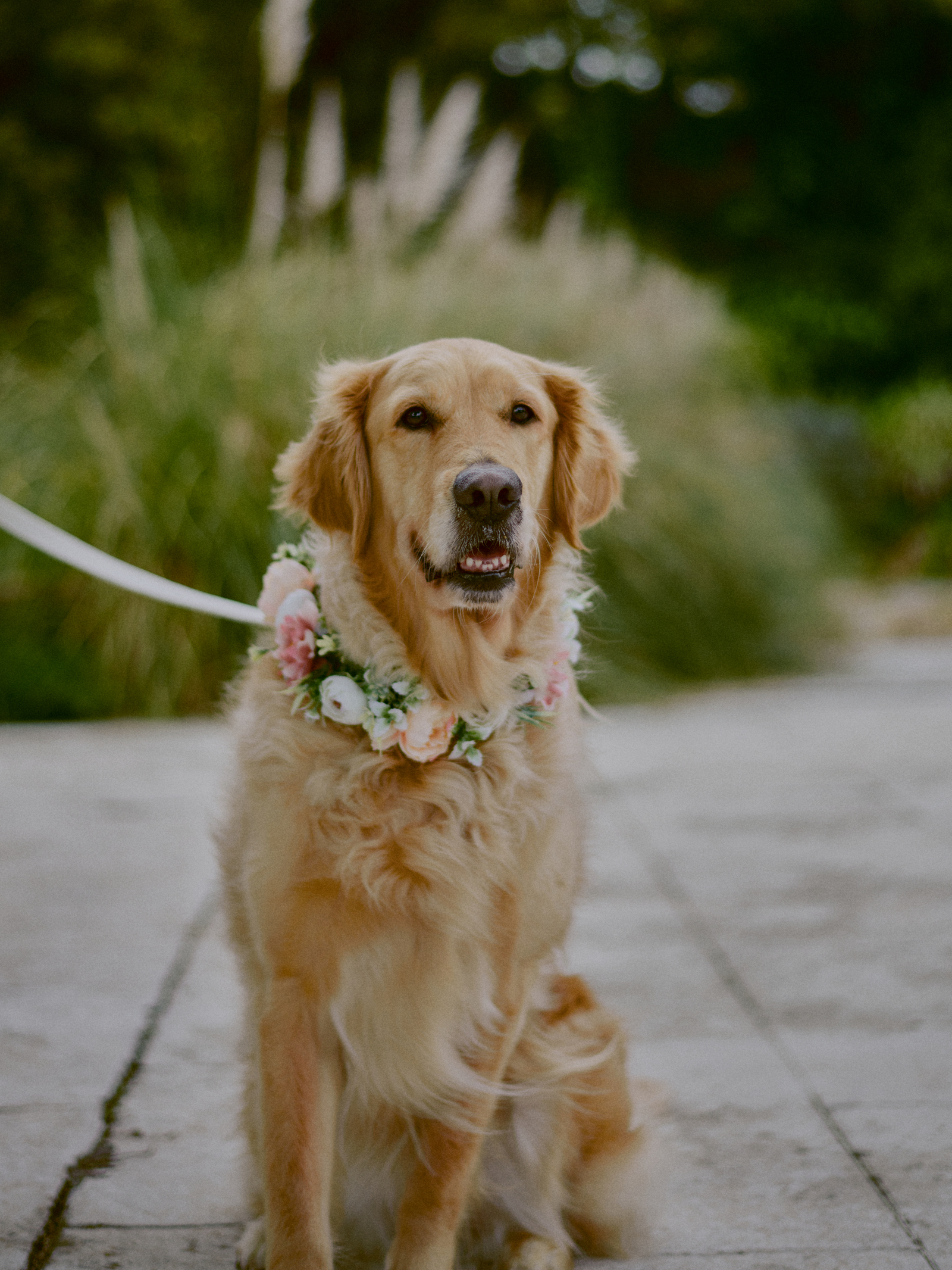 Wedding photographer Barcelona