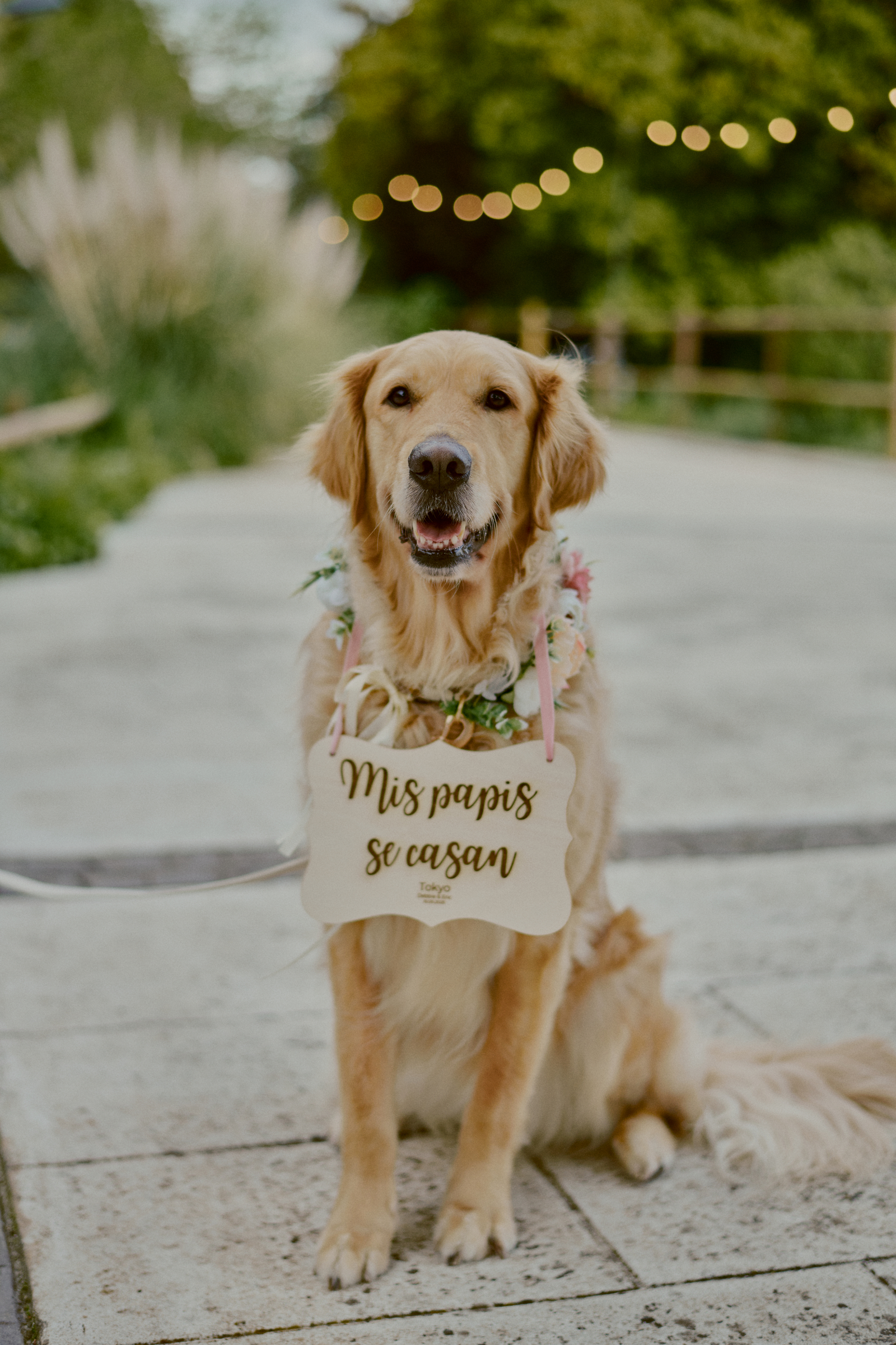 Wedding photographer Barcelona