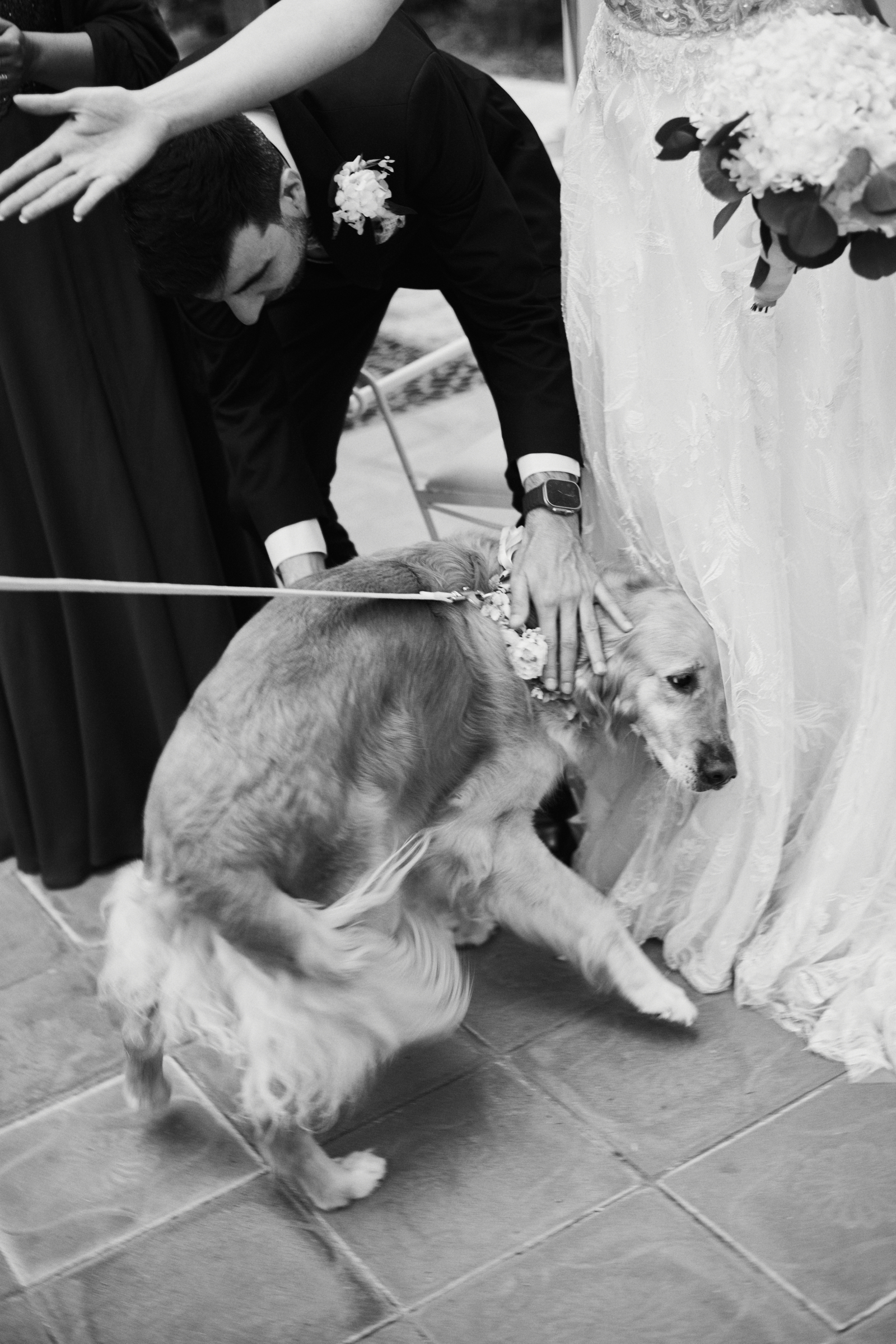 Wedding photographer Barcelona