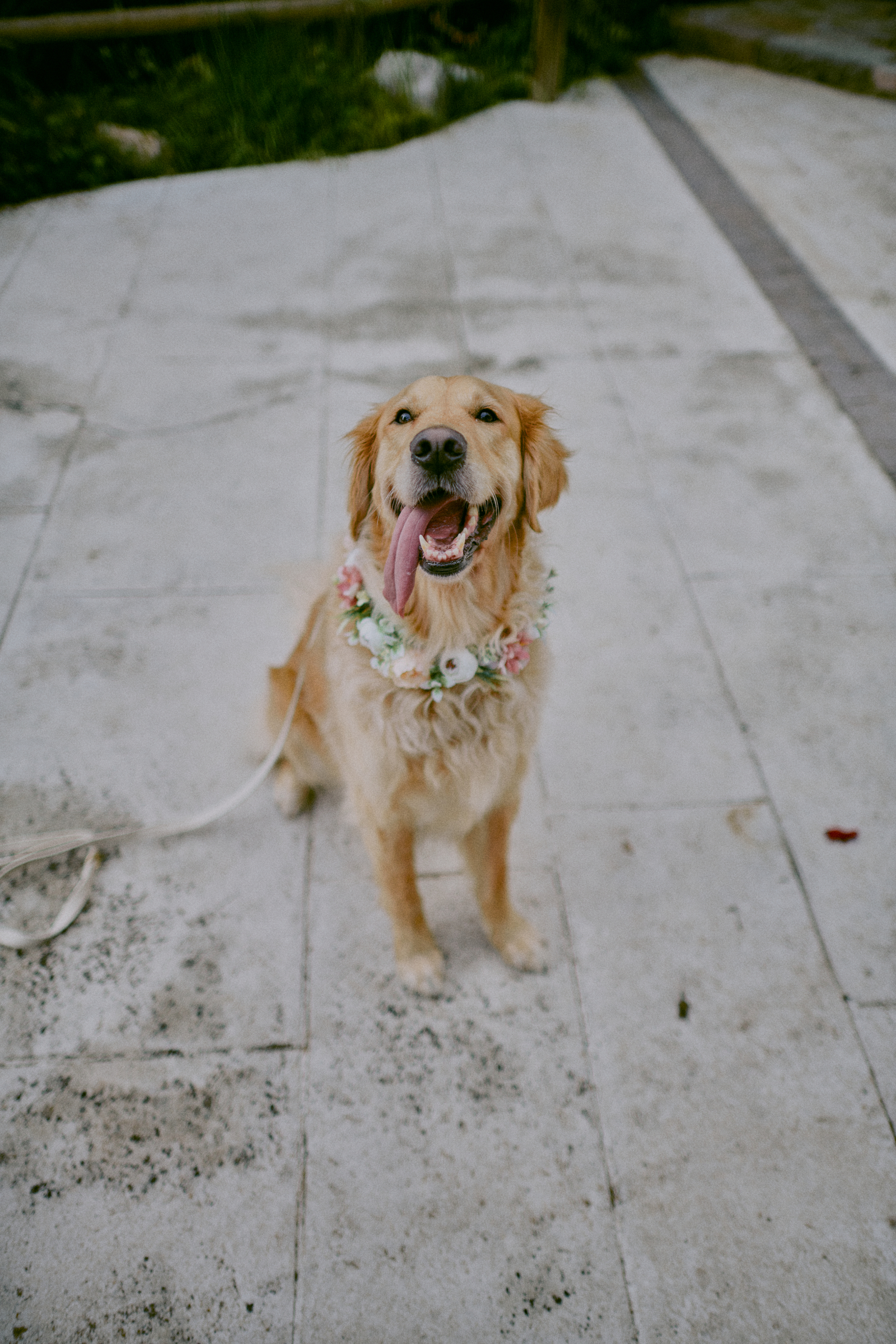 Wedding photographer Barcelona