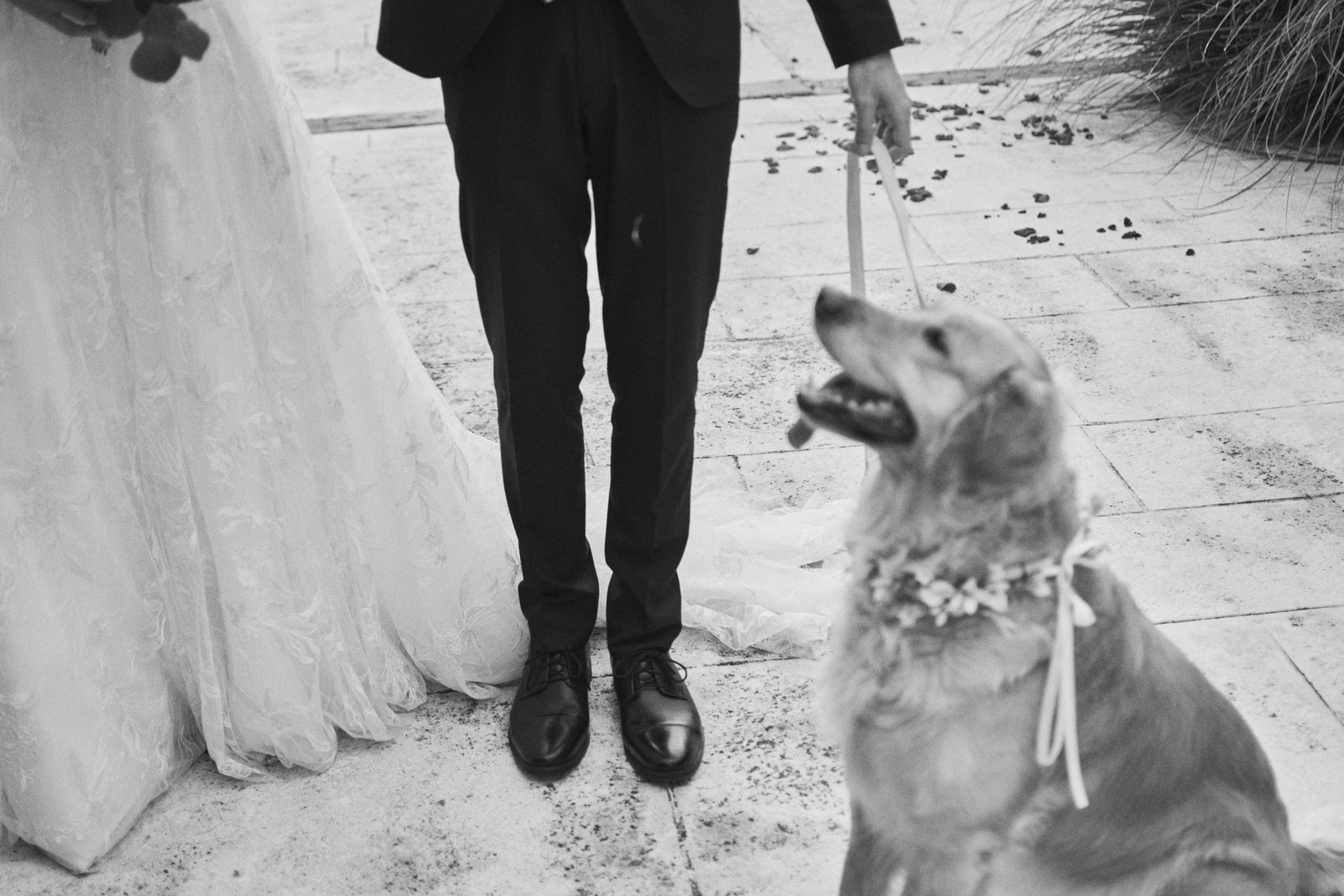 Wedding photographer Barcelona